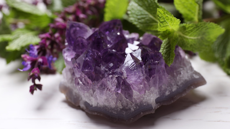 Amethyst with plants