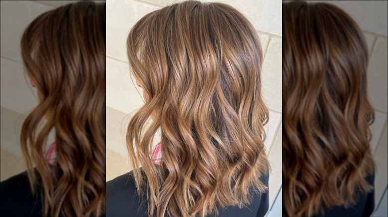 9. "How to Transition from Dark to Honey Blonde Hair" - wide 9