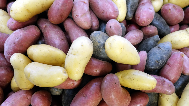 Fingerling potatoes