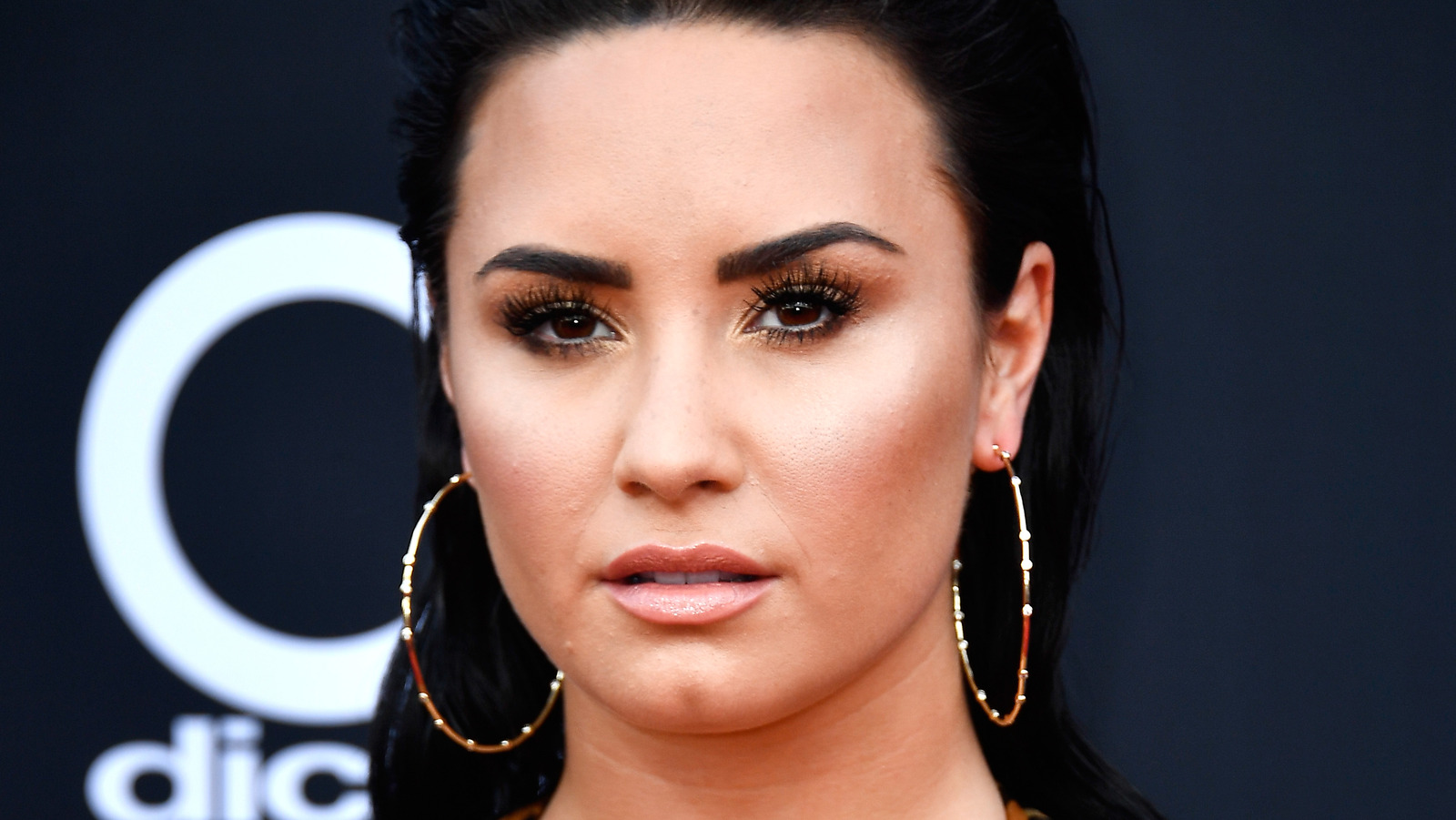 Demi Lovato Responds To Backlash Over Alleged Secret Instagram