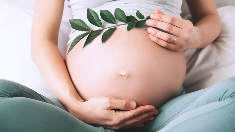 Pregnant woman, touching belly and holding green plant