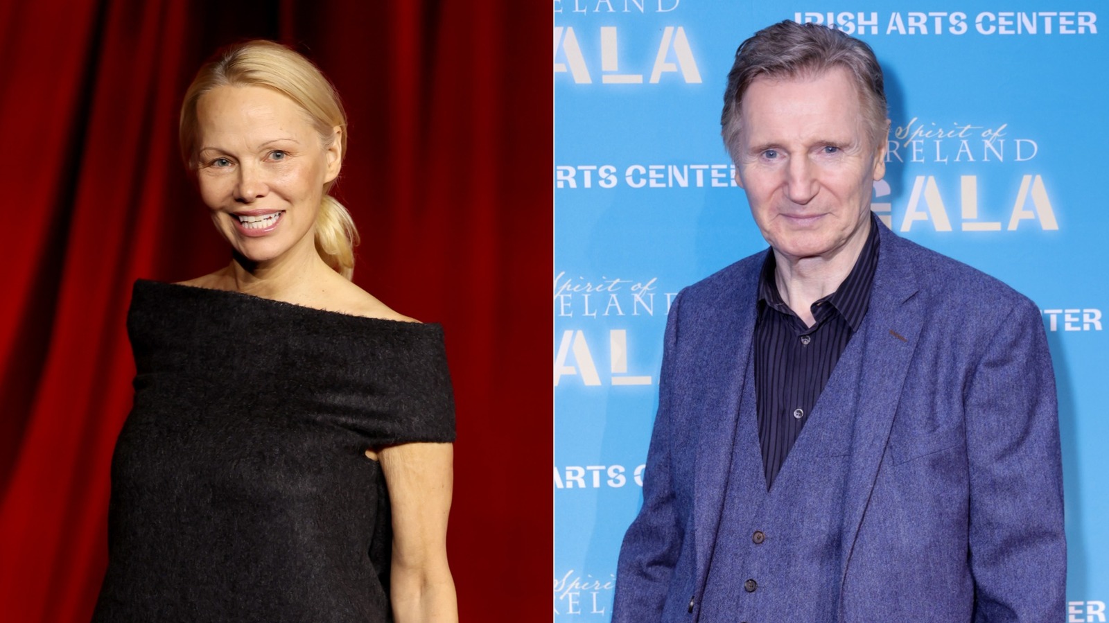 Details About Pamela Anderson's Friendship With Liam Neeson The List