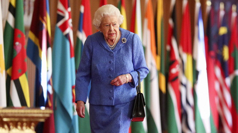 Queen Elizabeth II walking past flags