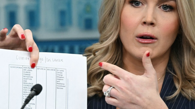 White House Press Secretary Karoline Leavitt during a press briefing