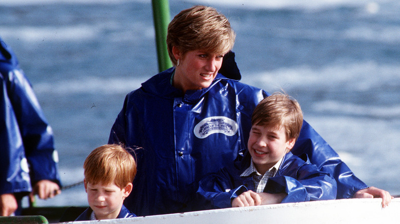 Princess Diana with Harry and William