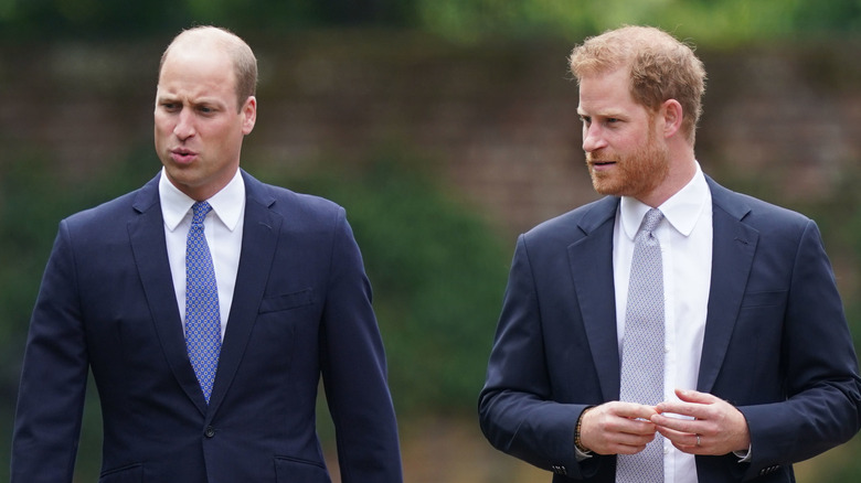 Princes William and Harry at Diana's statue unveiling