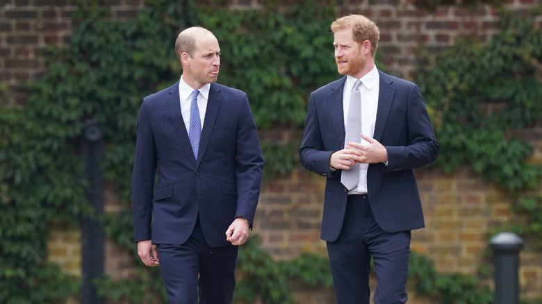 prince william and prince harry walking