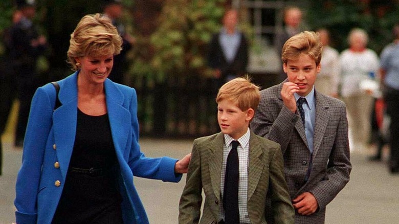 Princess Diana with sons Prince Harry and Prince William. 