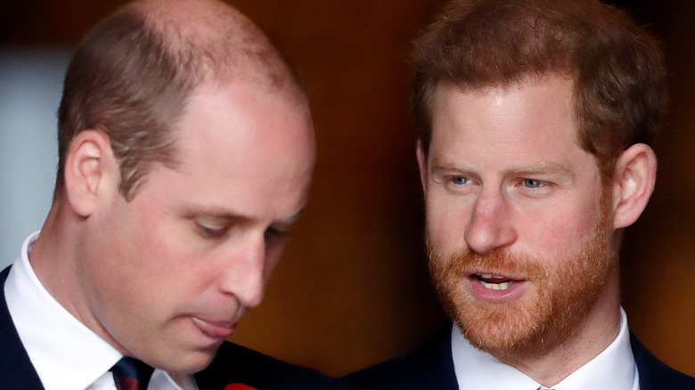 William and Harry together