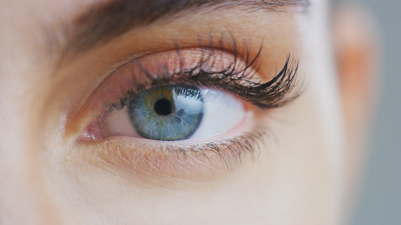 long eyelashes on a blue eye