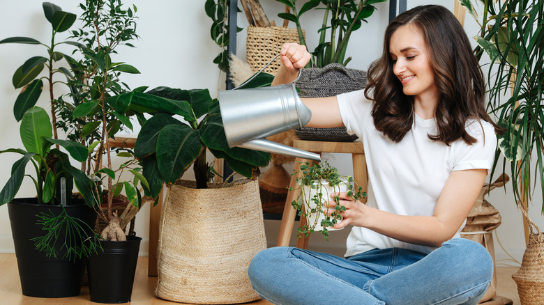 Woman watering houseplants