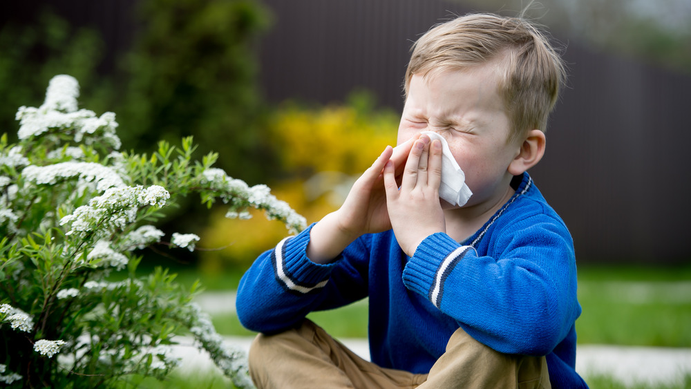 Little boy sneezing outdoors next to flowering plant