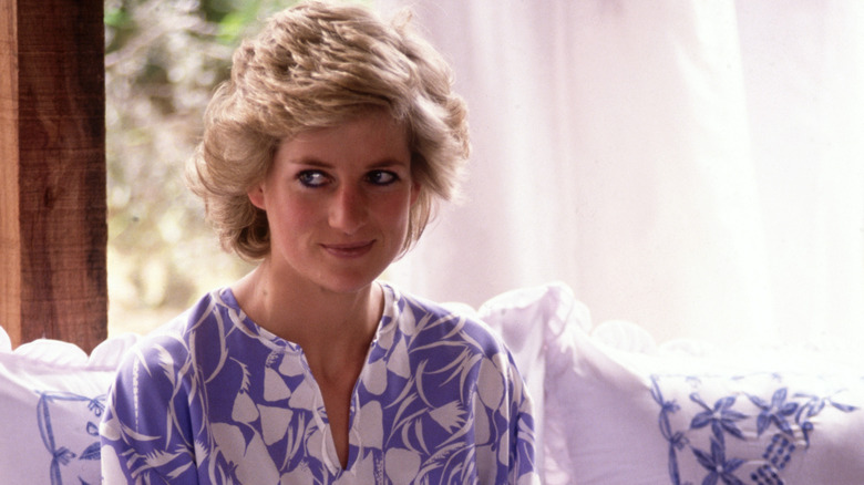 Princess Diana sitting at home