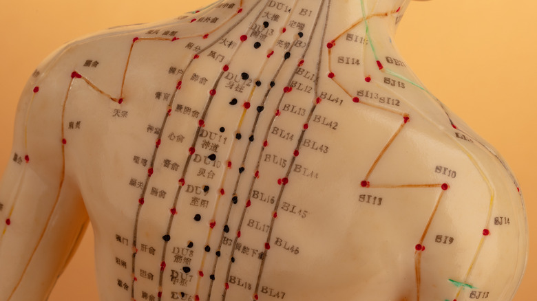 Acupuncture body map