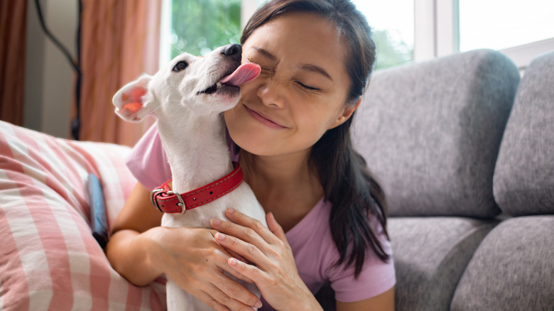 Dog licking woman's face