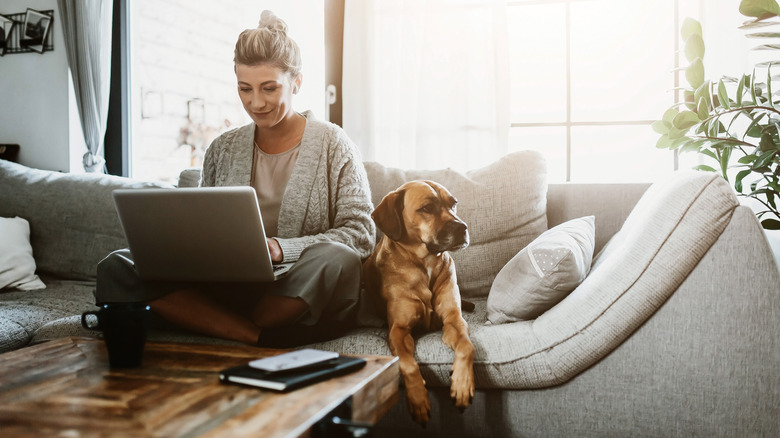 Dog sitting with working woman