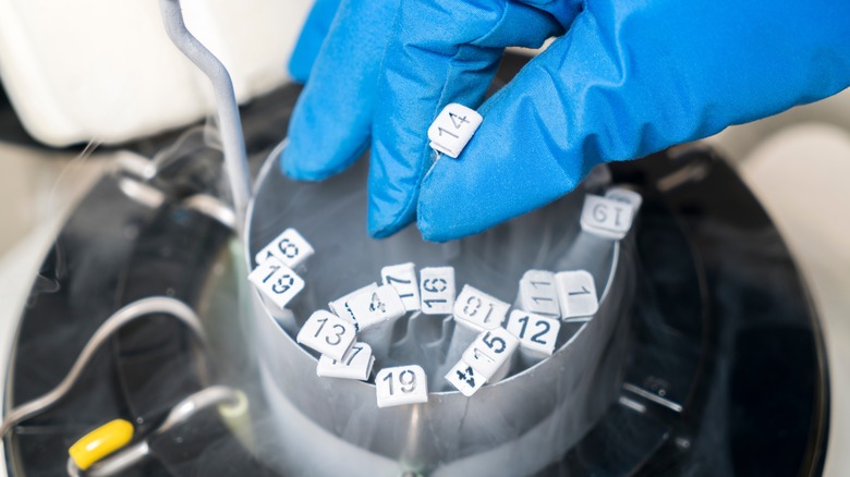 A Liquid Nitrogen Bank Containing Sperm and Eggs Samples - ivf - in vitro fertilization, egg freezing