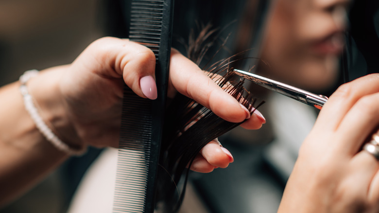 haircut up close; stylist with comb and scissors