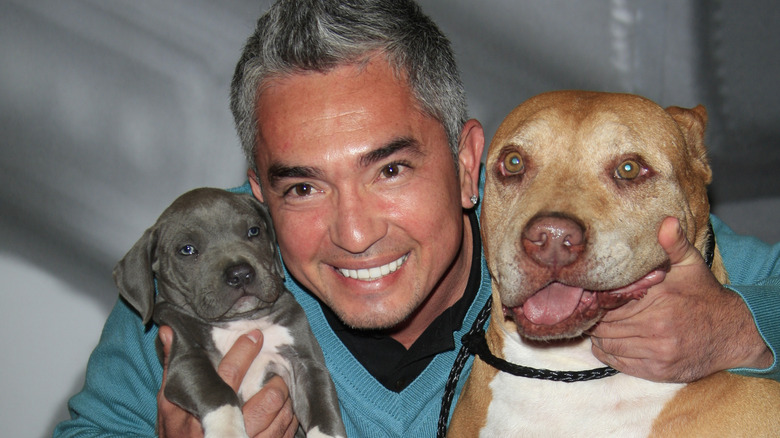 Cesar Millan holding two dogs