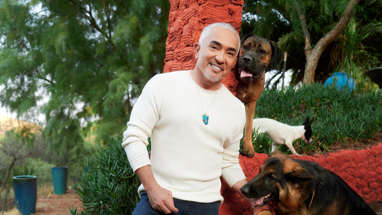 Cesar Millan smiling with three dogs