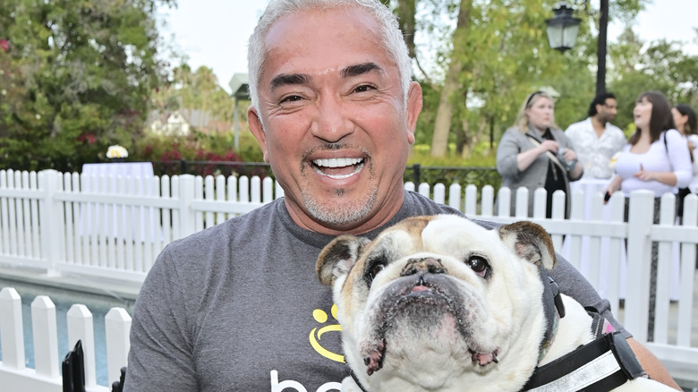 Cesar Millan holding a bulldog