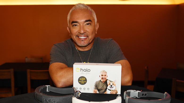 Cesar Millan posing with Halo Collars and box