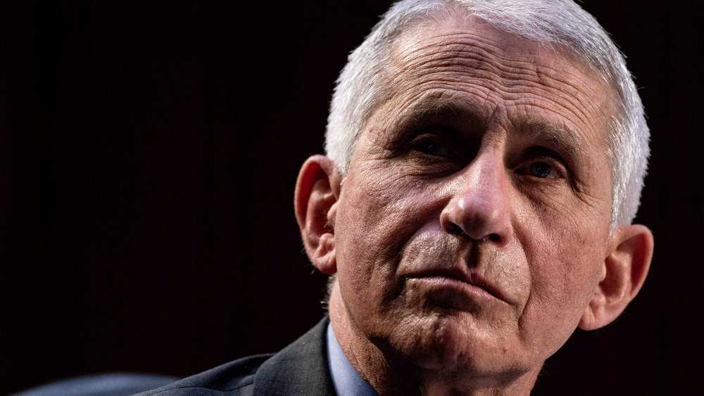 Dr. Anthony Fauci staring 