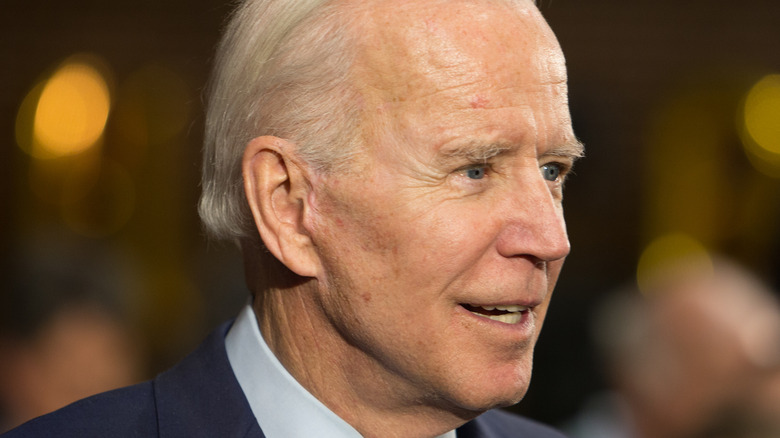 Joe Biden in profile