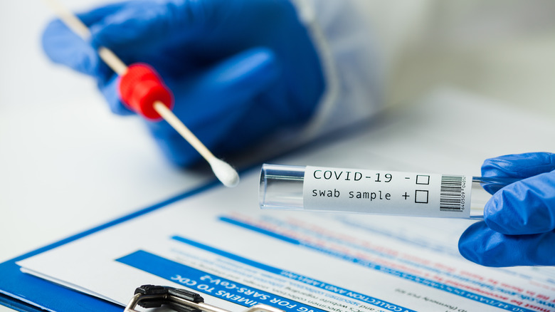 Gloved hand holding COVID swab