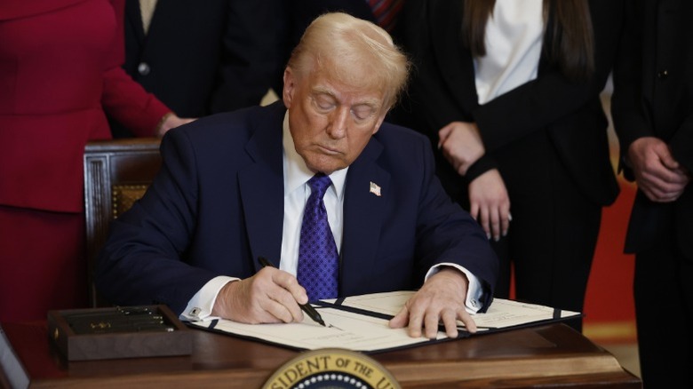 Donald Trump signs an executive order in Washington, DC (2025)