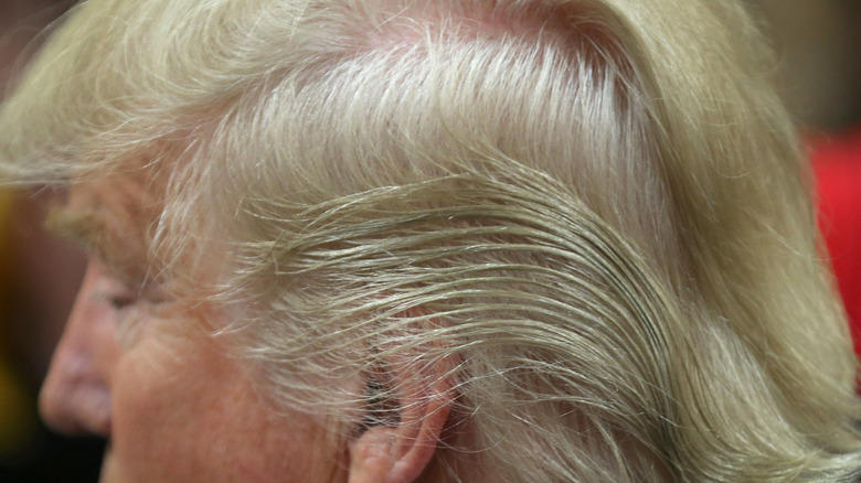 Detail of Donald Trump's hair