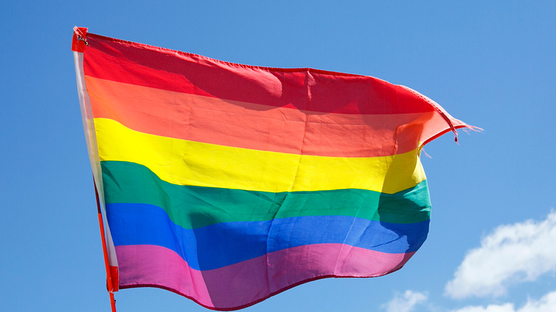human rights adidas lgbtq rainbow flag
