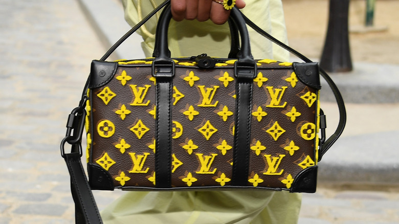 Louis Vuitton handbag, Spring 2020 fashion show