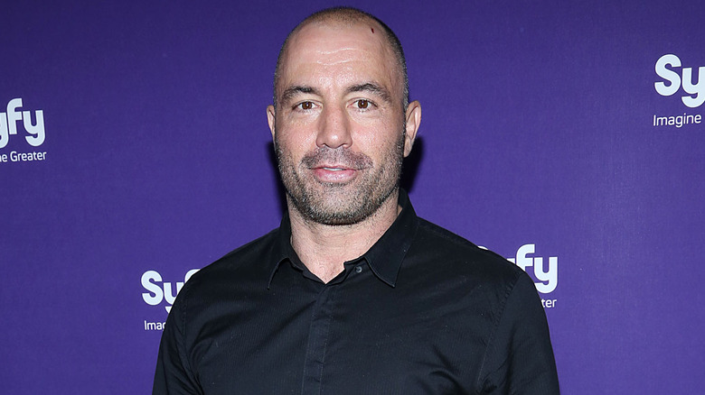 Joe Rogan posing