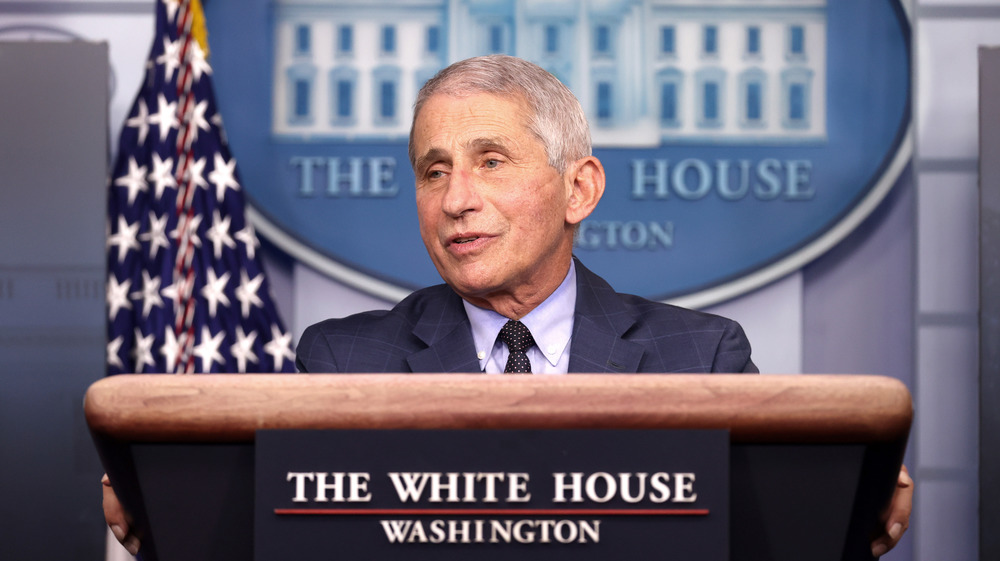 Anthony Fauci speaking at briefing