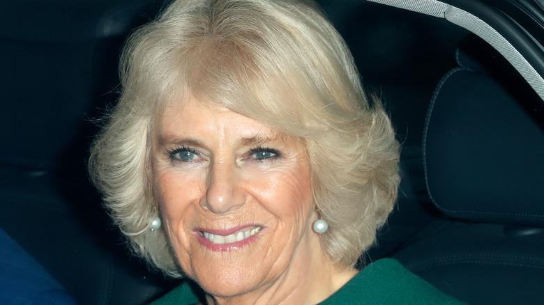 Camilla, Duchess of Cornwall poses for a photo. 