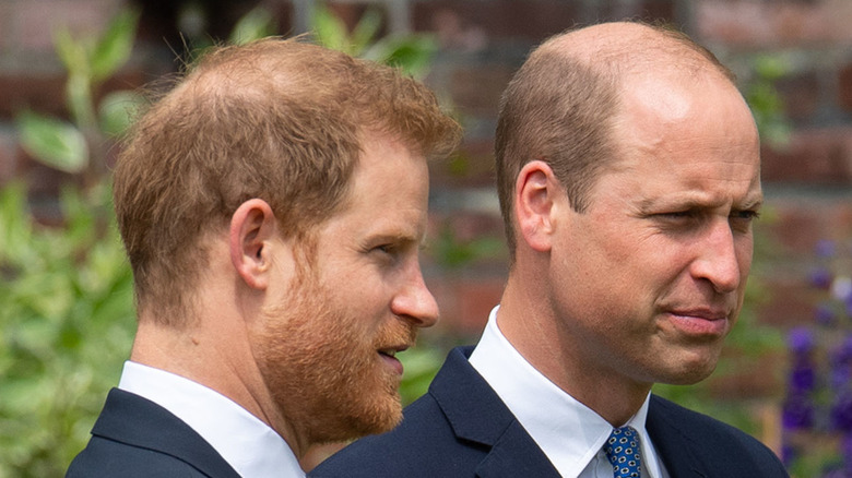 Prince Harry and Prince William