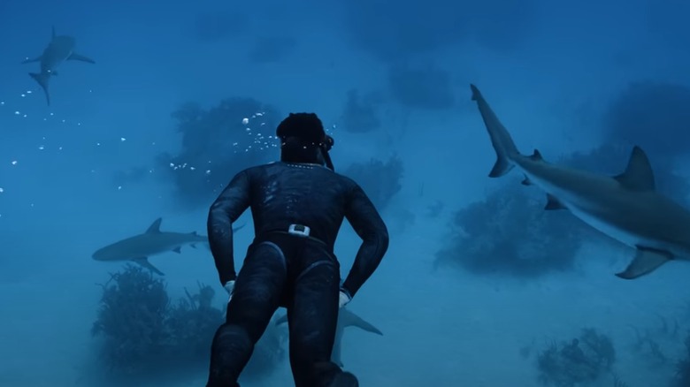 Dylan Efron swimming with sharks