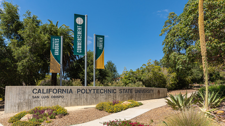 Cal Poly University