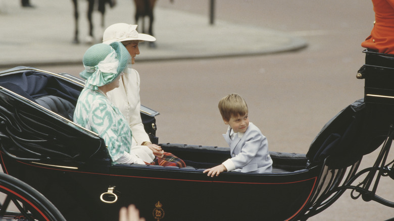 Young Prince William rides in carriage