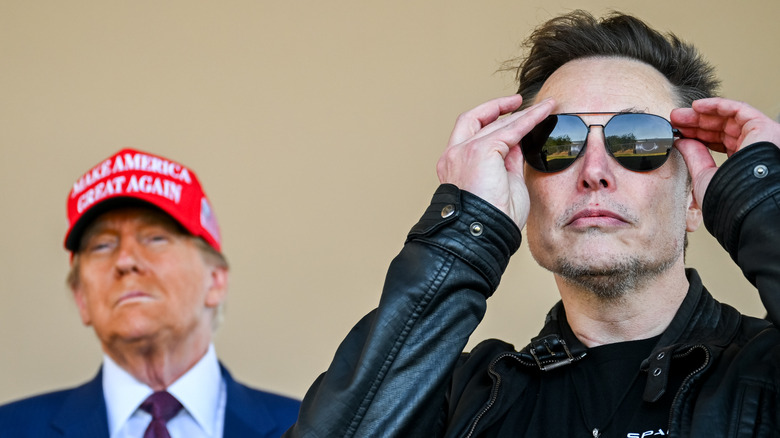 Donald Trump and Elon Musk