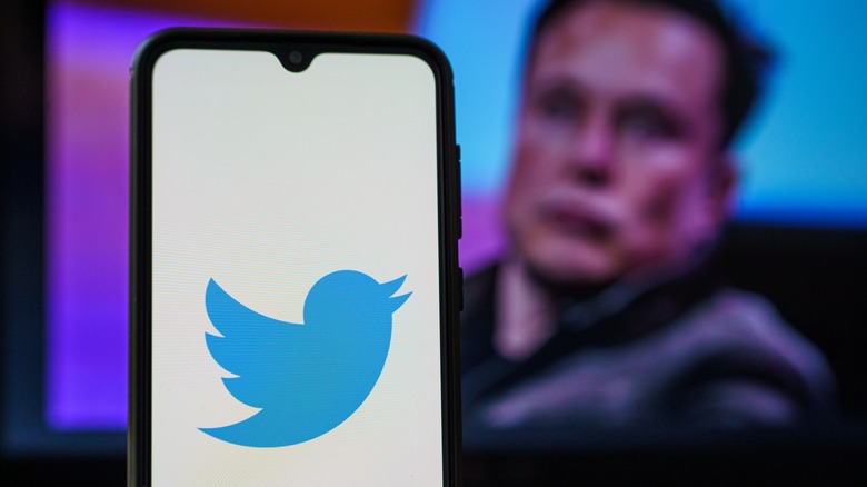 Elon Musk obscured behind a phone with the Twitter logo