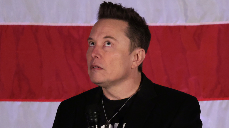 Elon Musk speaks at a town hall event for Donald Trump in October 2024