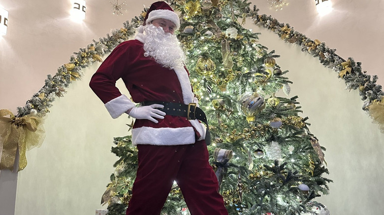 Elon Musk poses as Santa Claus