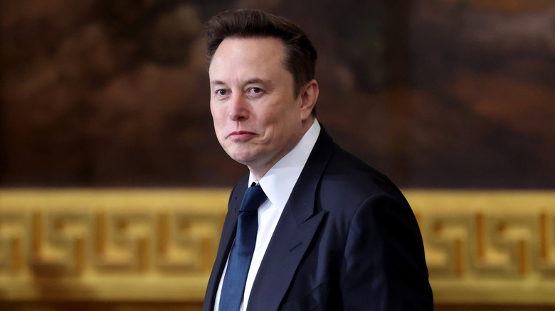 Elon Musk during President Donald Trump's inauguration