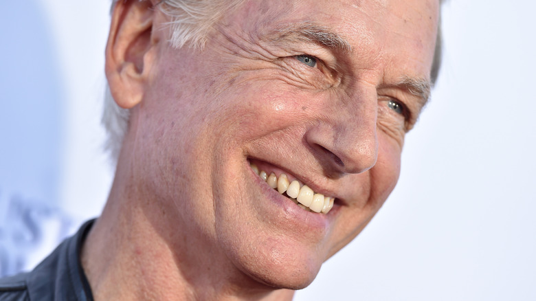 NCIS actor Mark Harmon smiling