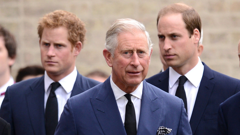 Prince Harry and Prince William walking behind King Charles III