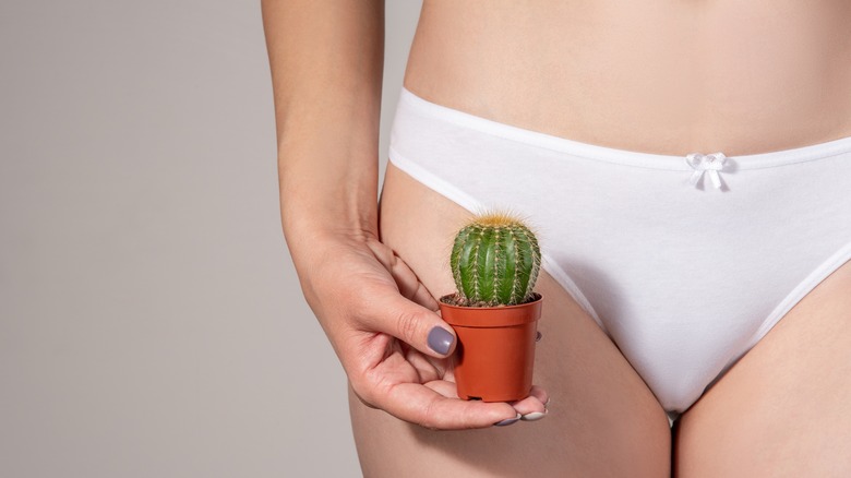 Little cactus and underwear lady