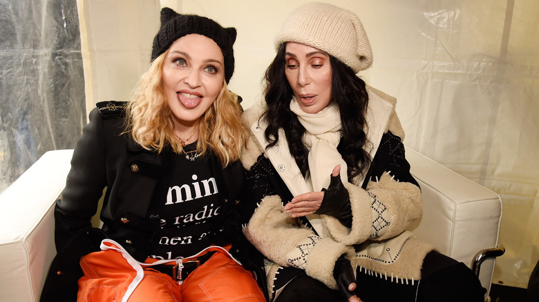 Madonna and Cher pose together at the Women's Day March in 2017.