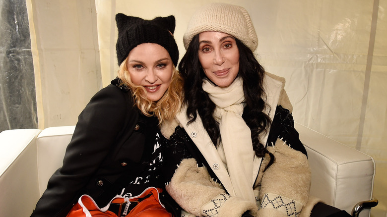 Madonna and Cher pose together at the Women's Day March in 2017.